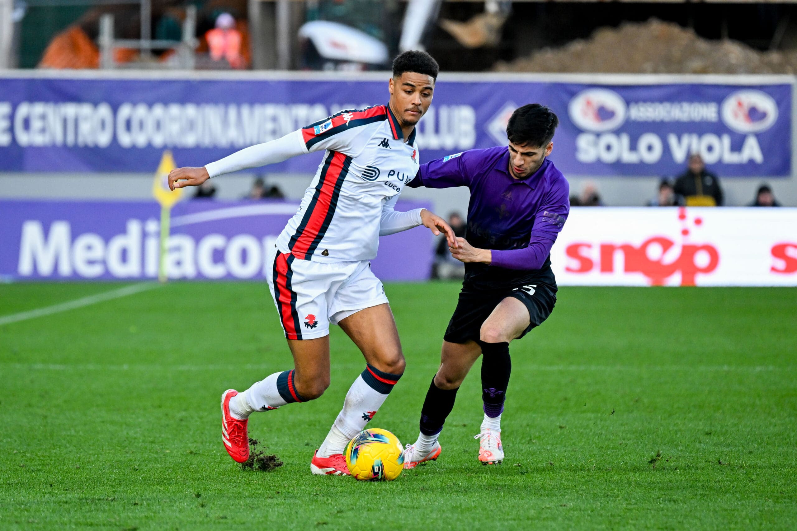 Fiorentina Genoa De Winter