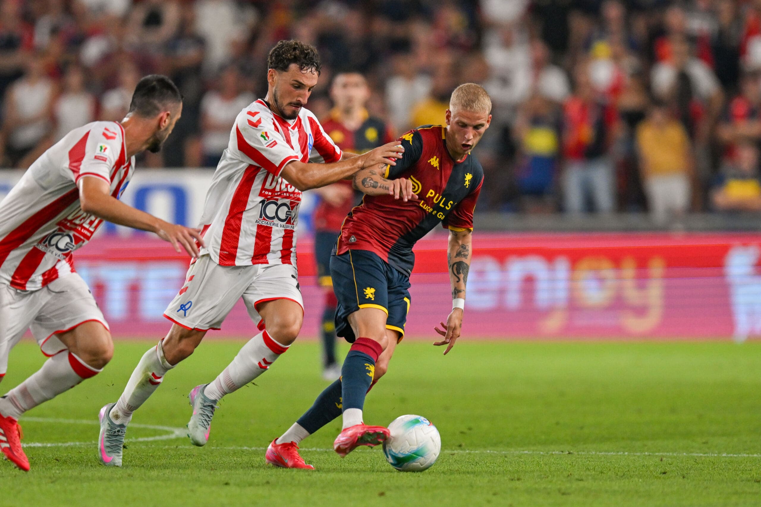 Genoa Vicenza Gronbaek