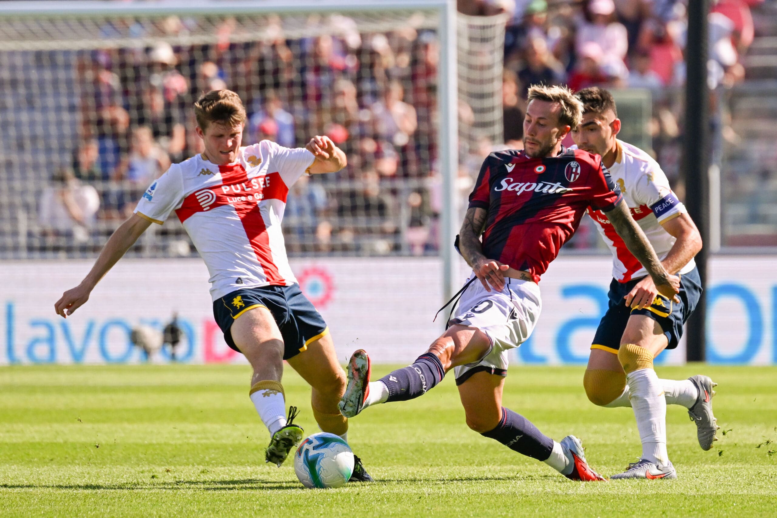 Bologna Genoa Frendrup