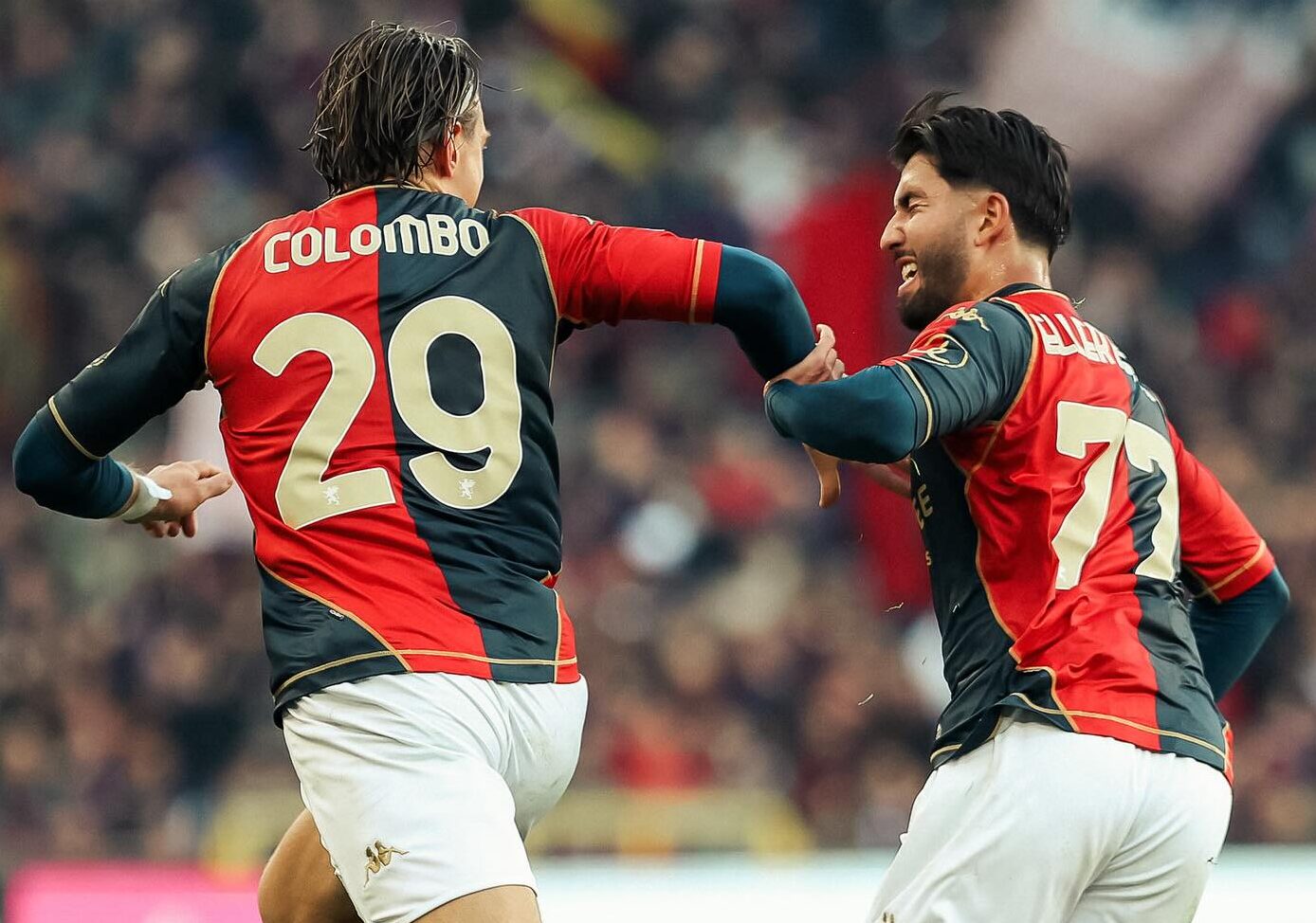 genoa verona Colombo