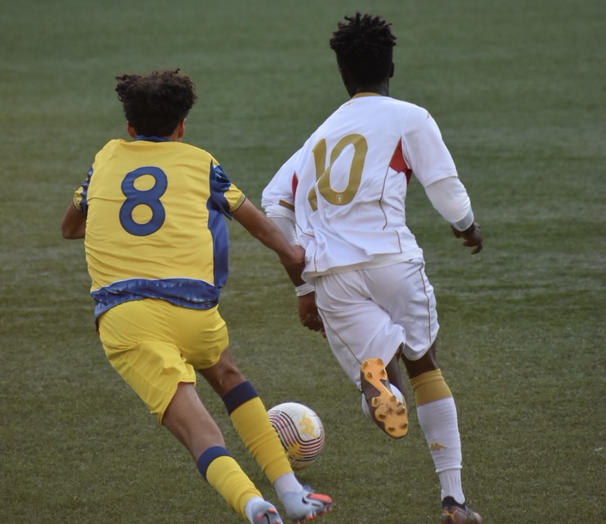 genoa under 16 Terranova