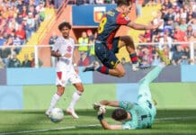 Dove osano i fenomeni