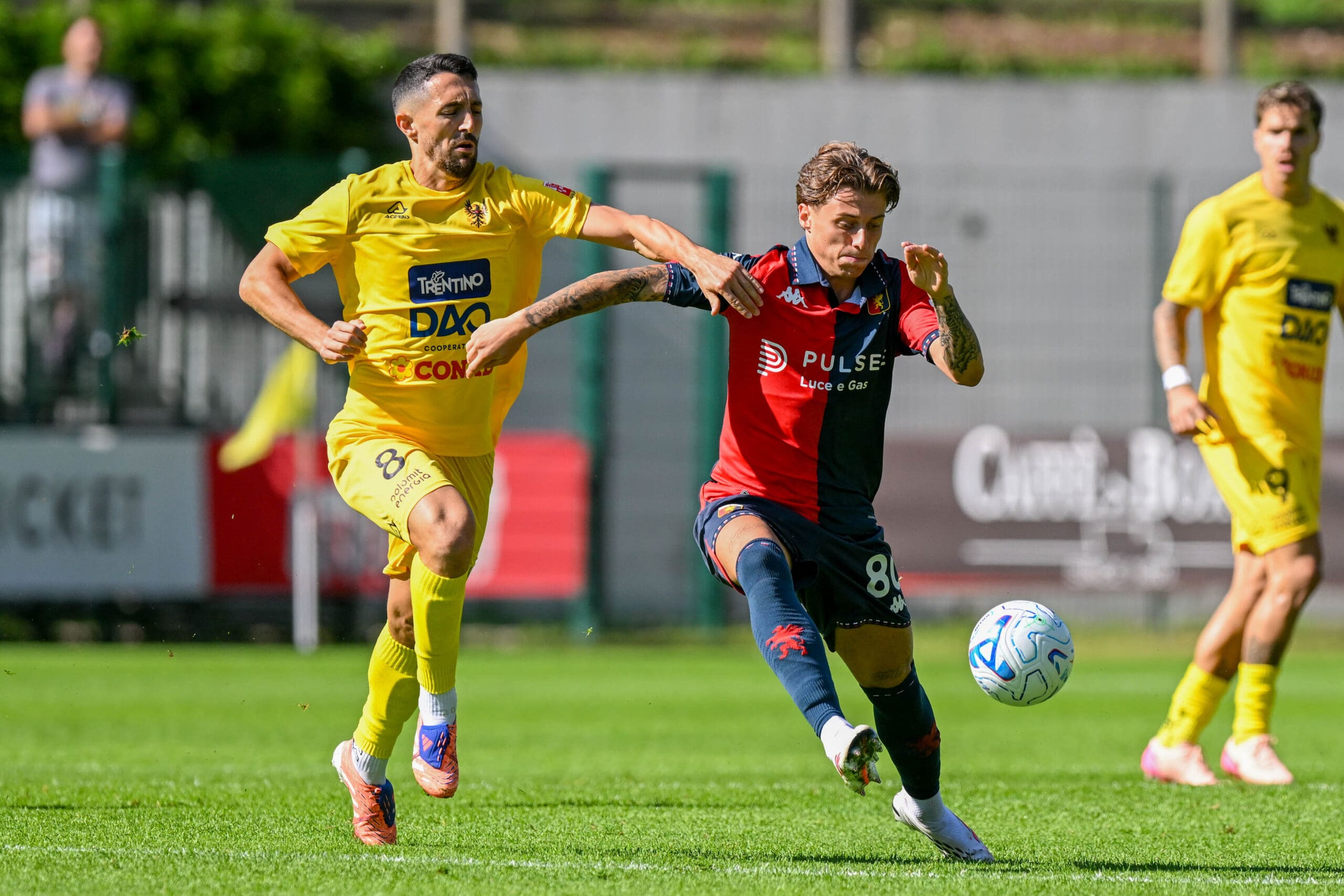 Moena genoa trento grossi