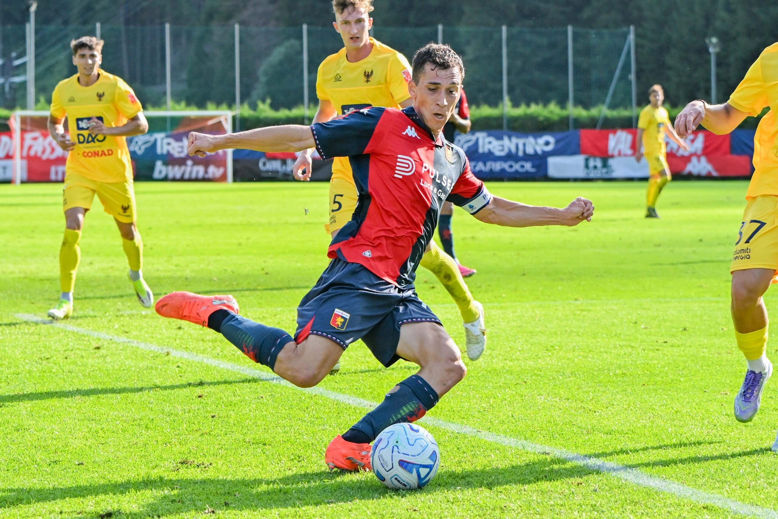 Moena genoa trento masini