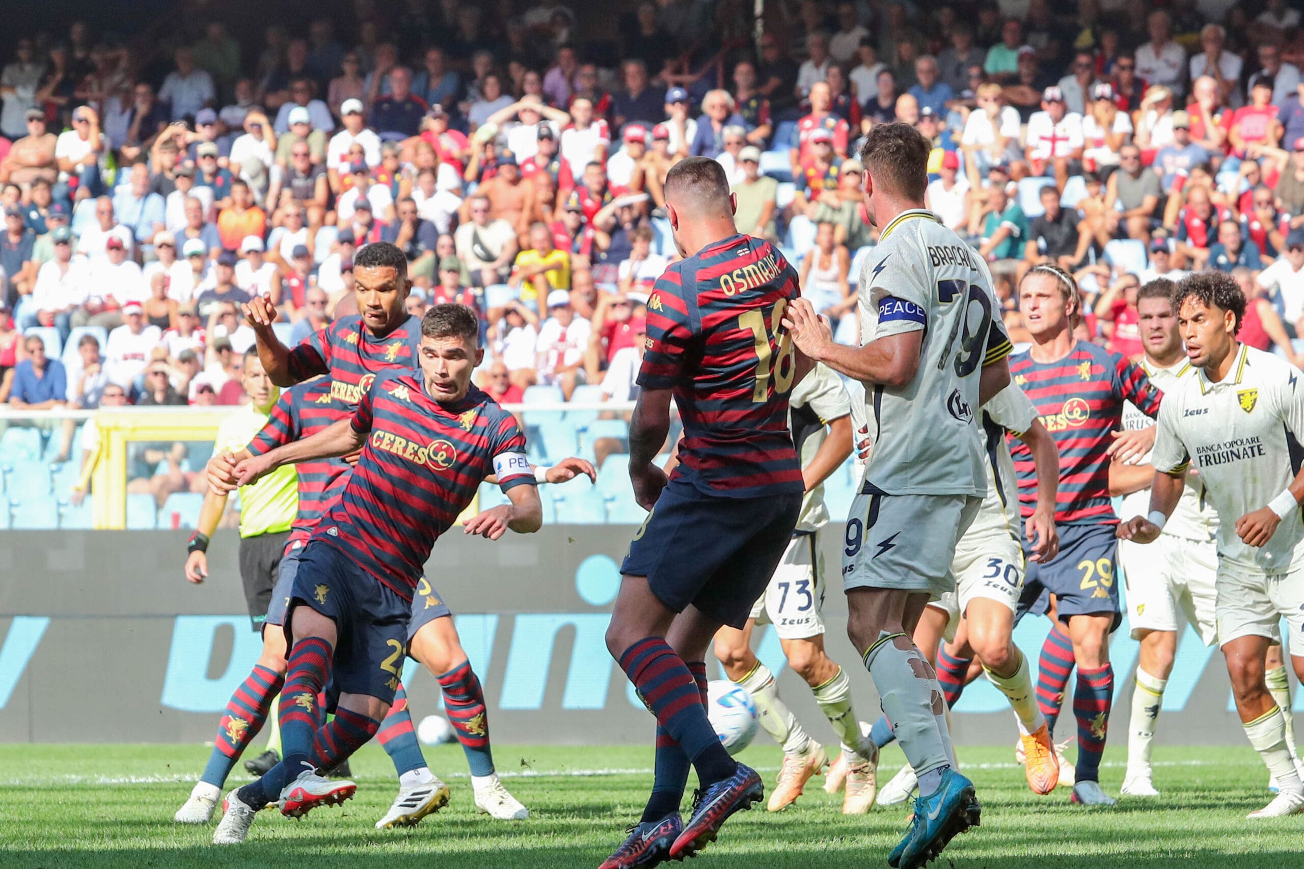 Genoa Frosinone Vasquez