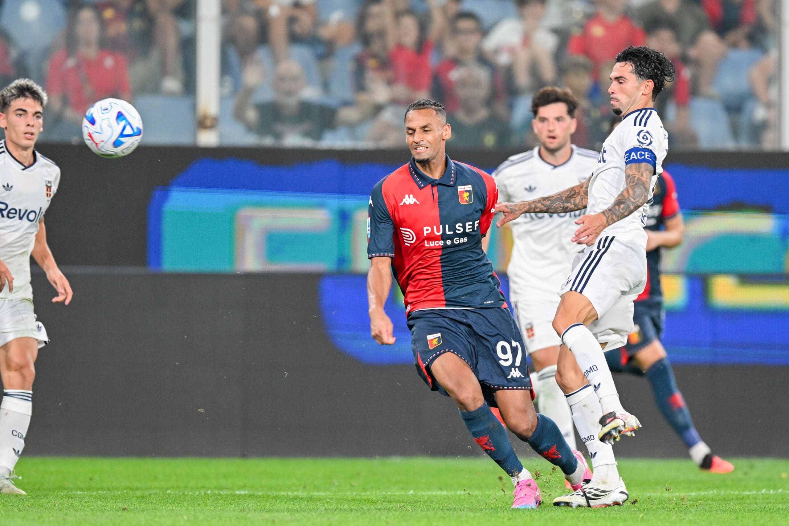 Genoa Como Sow