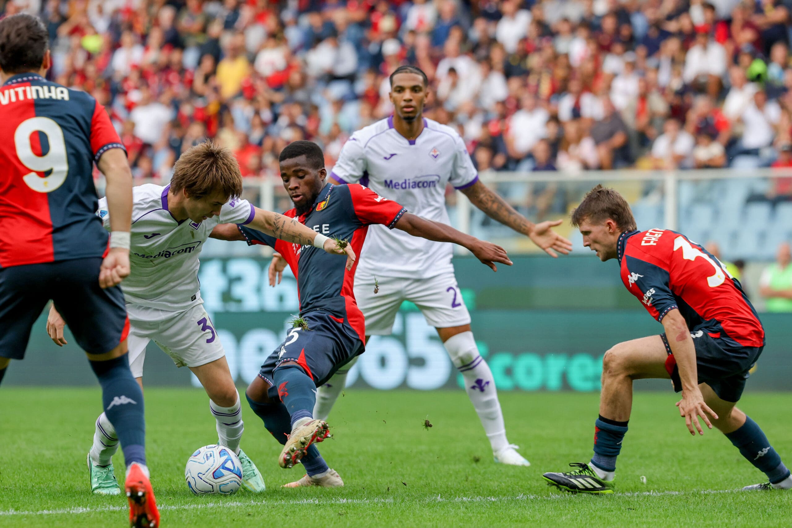 Genoa Fiorentina