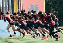 Genoa | Ripresi oggi gli allenamenti. Nazionali, ecco quando rientreranno i rossoblù