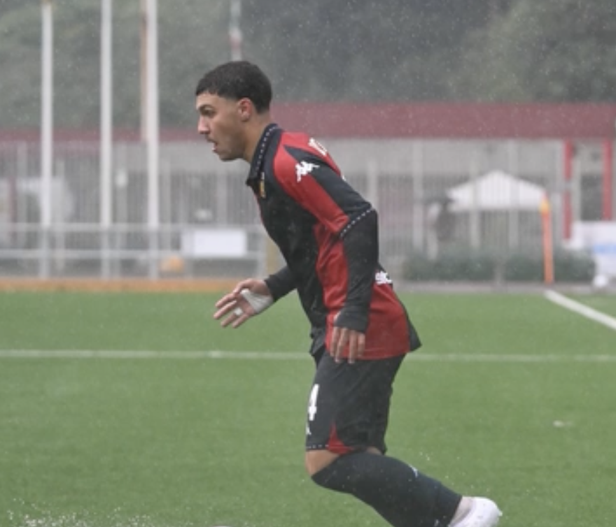 vincenzo Damiano